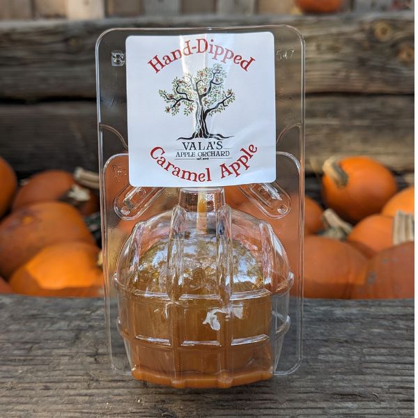 Caramel Apple — Plain