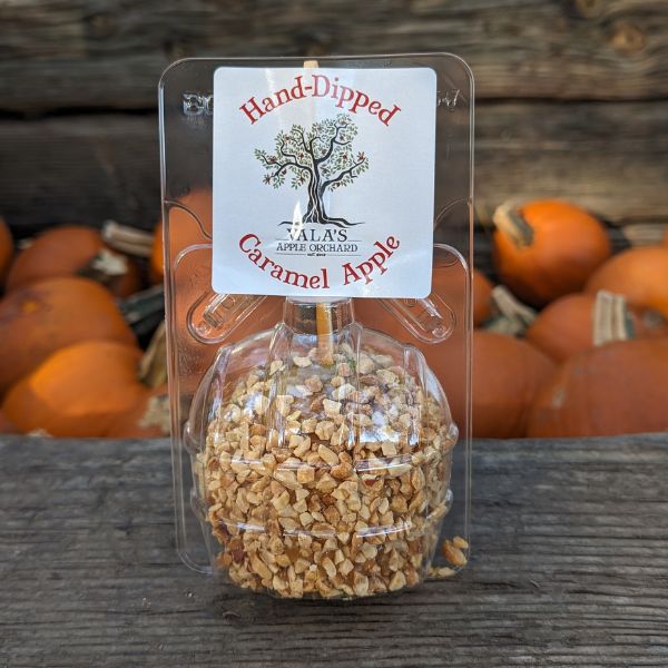 Caramel Apple — Nuts