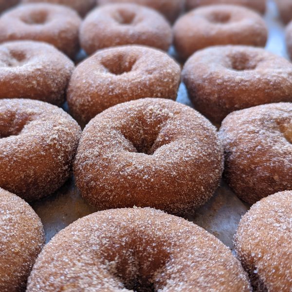 Donut 12PK — Apple Cider Donuts, Dozen