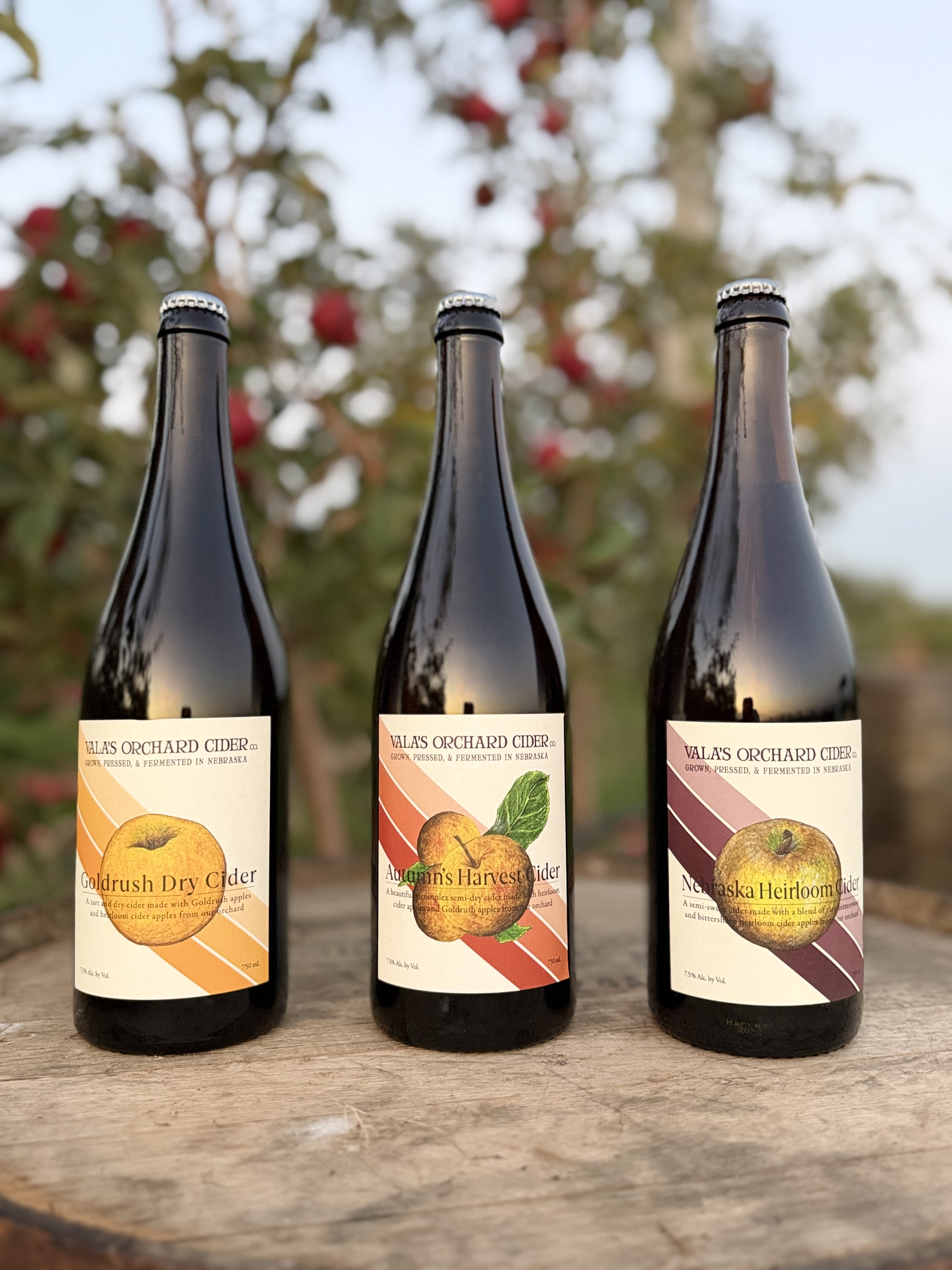 Hard Cider 750ML Bottle Orchard Series — Thanksgiving 3 Pack
